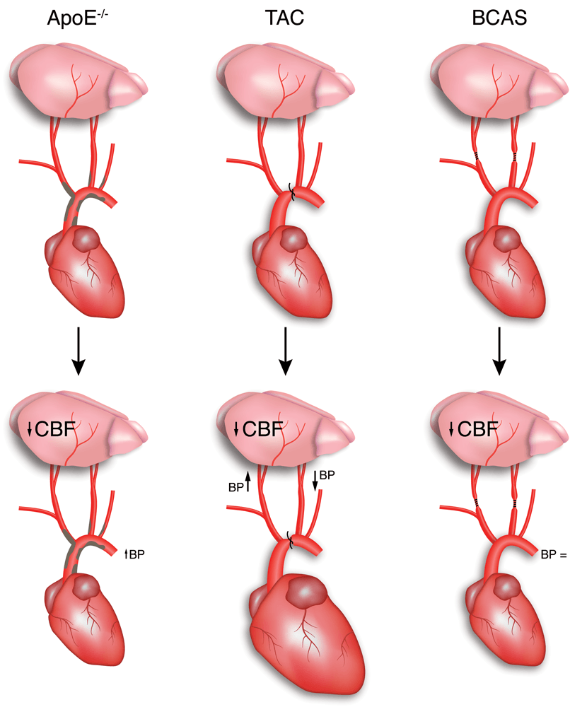 H2Fig-1