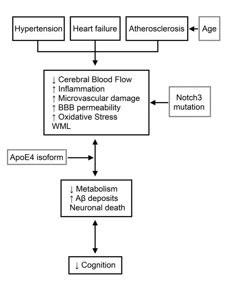 H2Fig 2