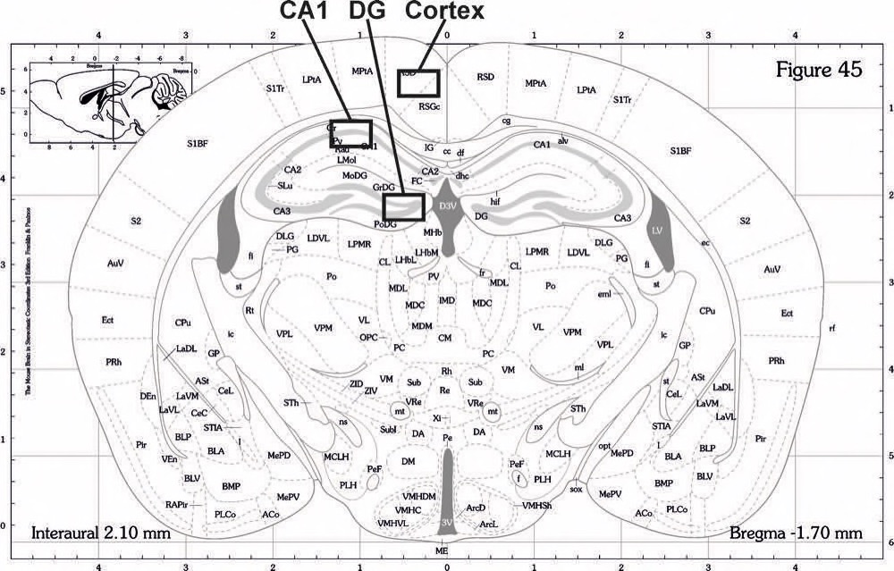 H6Suppl Fig 1_atlas